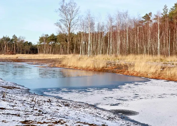 Holiday home Calluna151 *