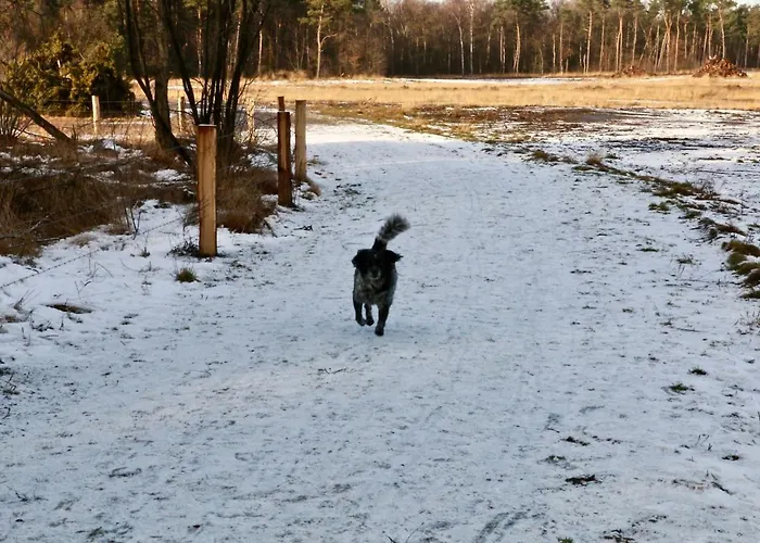 Calluna151 Сasa de vacaciones *