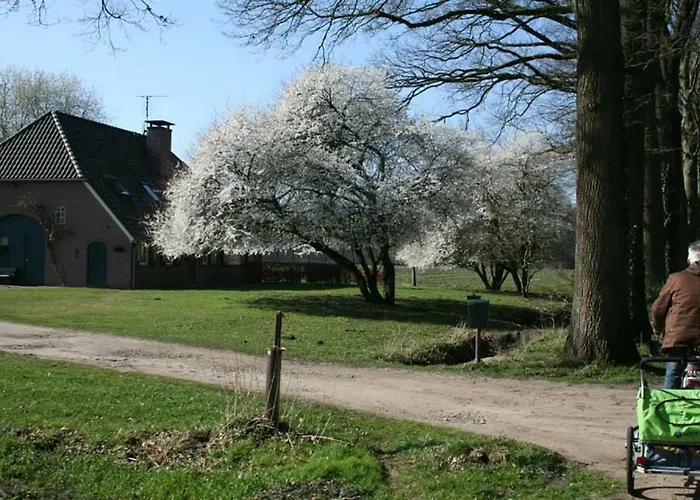 Calluna151 * Harfsen